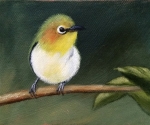 Pretty Bird