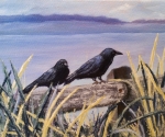 Two Ravens