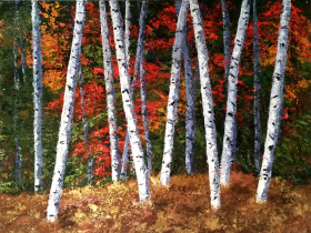 birches-in-autumn